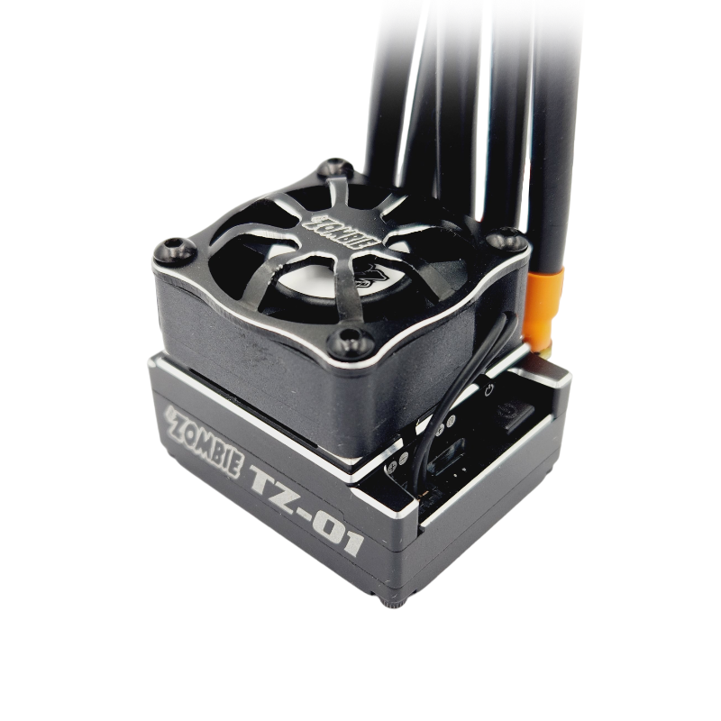 Zombie TZ-01 ESC/Zombie Evo II Stock Class Combo (Assorted Turns)