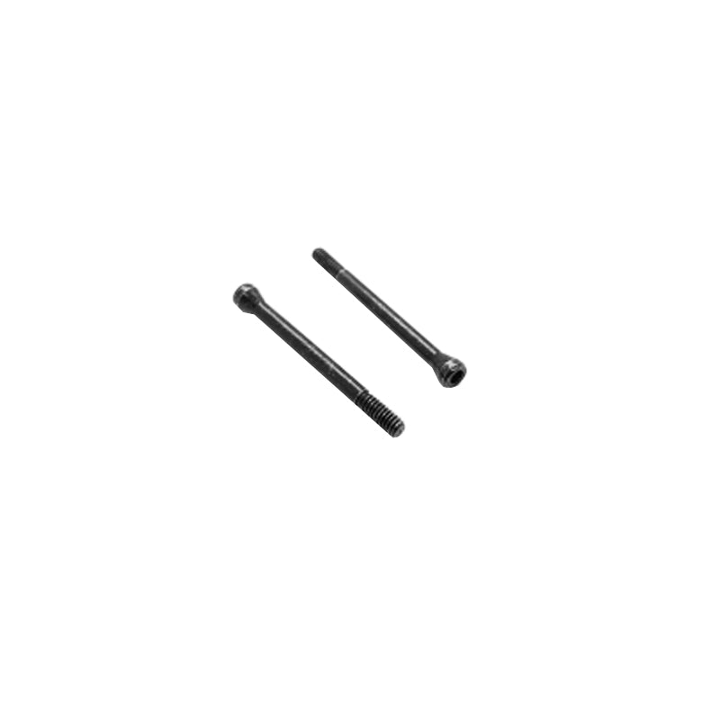 SC2X22 - M2x22 Cap Head Screw for BDL x2